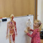 phoca_thumb_m_moje tlo 5 Fotogalerie